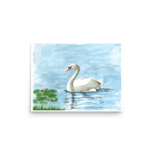 "Swan on the Lake" Print - 16" x 12"